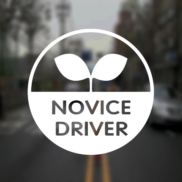 새싹초보운전스티커4 novice driver